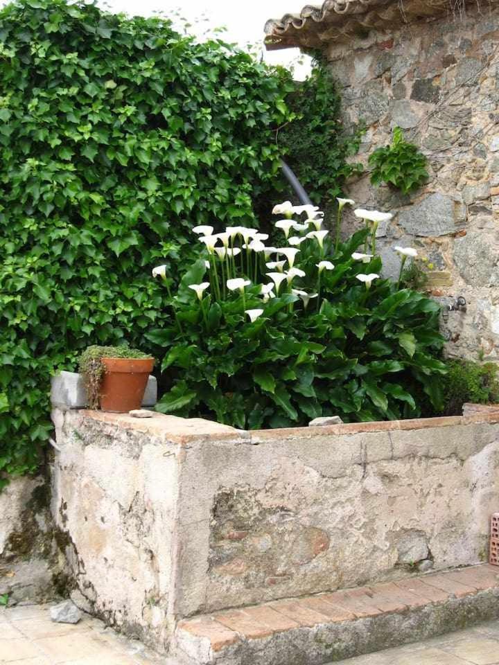 Ca Landreu Ecoturisme Vila Tiana Exterior foto