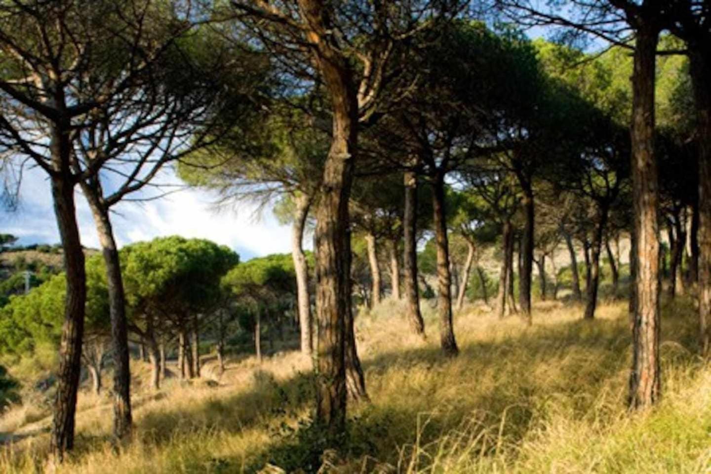Ca Landreu Ecoturisme Vila Tiana Exterior foto